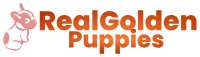 RealGoldenPuppies